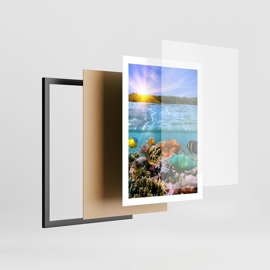 Plakat w ramie 50x70 - Rafa Koralowa - Podwodne Cuda - rafa, koralowa - rama czarna