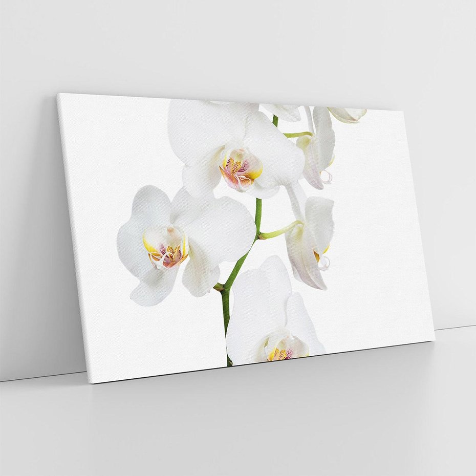 Obraz na płótnie 70x50 - Ekskluzywny Relaks - storczyk, spa