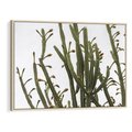 Obraz w ramie 120x80 - Ekskluzywna Roślinność - kaktusy, liście - rama drewno