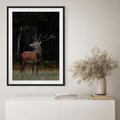 Plakat bez ramy 50x70 - Spotkanie z naturą - jeleń, las