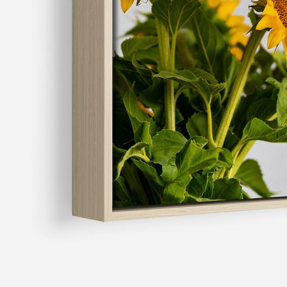 Obraz w ramie 80x80 - Słoneczna Radość - fotografia, żółte słoneczniki - rama drewno