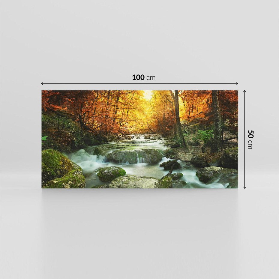 Obraz na płótnie 100x50 - Siła Natury: Strumień w Lesie - strumień, las