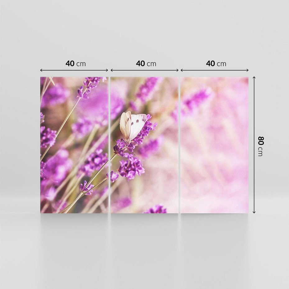 Obraz na płótnie 120x80 - Majestat lawendy: fioletowe pola - lawenda, fiolet