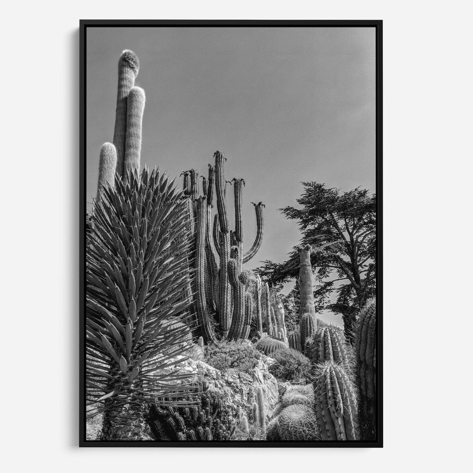 Obraz w ramie 50x70 - Pustynny Klimat - czarno białe zdjecie, pustynia - rama czarna