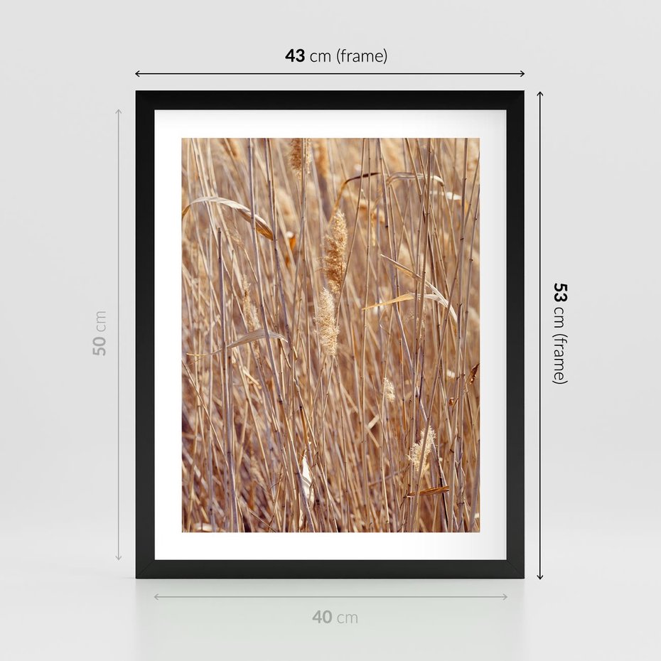 Plakat w ramie 40x50 - Mistrzowskie suche trawy - suche, trawy - rama czarna