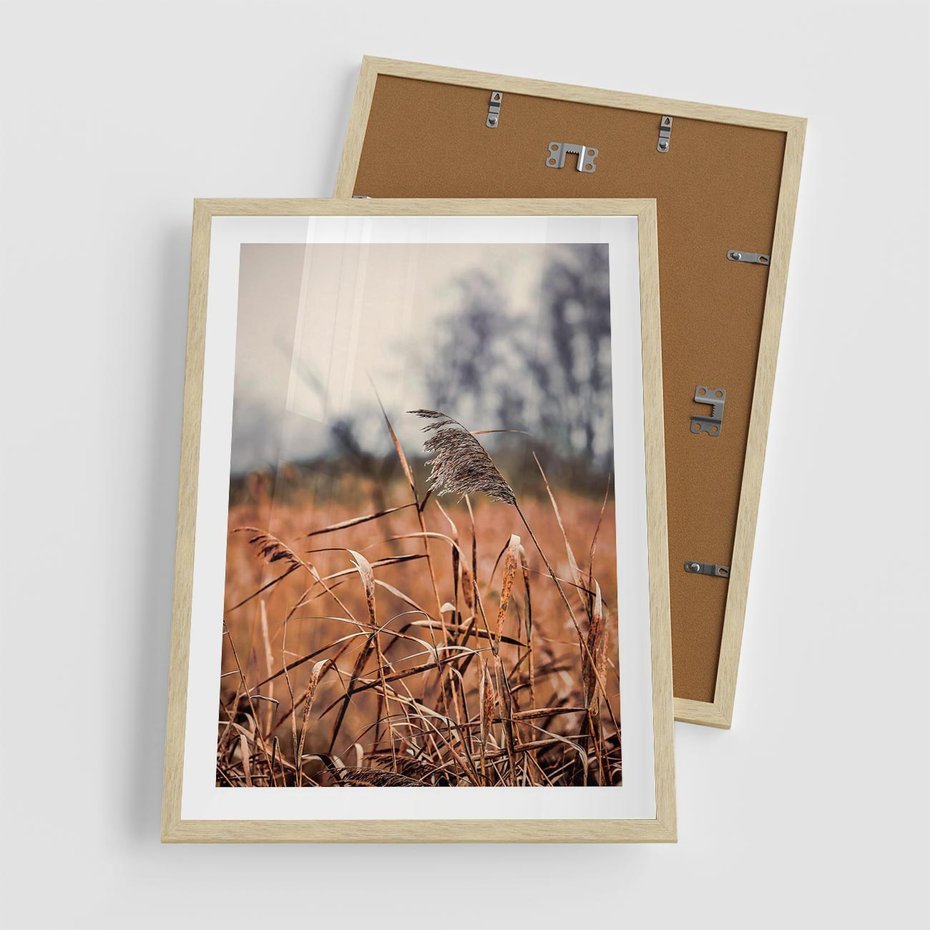 Plakat w ramie 50x70 - Jesienna Melancholia - suche trawy, jesień - rama drewno