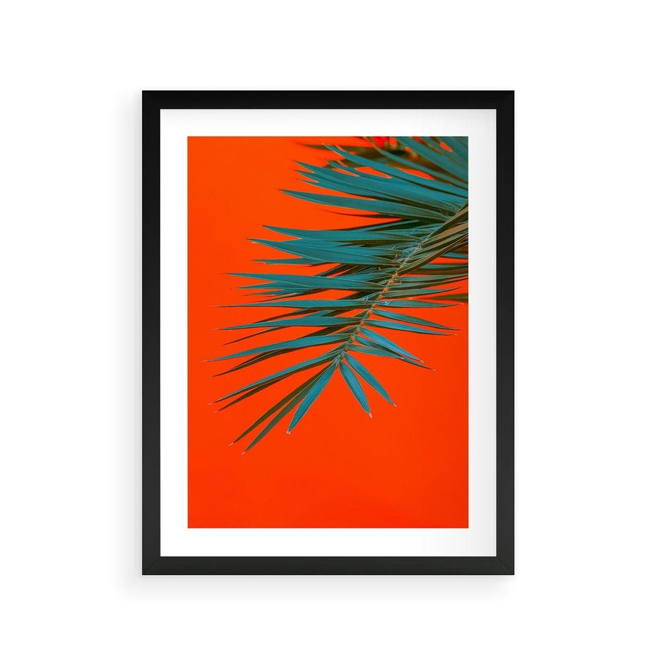 Plakat w ramie 30x40 - Egzotyczny Urok - liście, palma - rama czarna