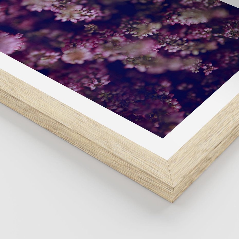 Plakat w ramie 50x70 - Wrzosowa Delikatność - wrzosy, kwiaty - rama drewno