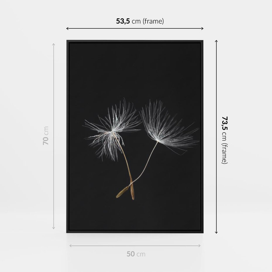 Obraz w ramie 50x70 - Delikatność Wiatru - dmuchawce, makro - rama czarna