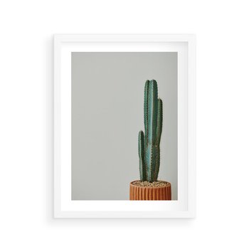 Plakat w ramie 50x70 - Zieleń i Subtelność - kaktusy, liście - rama biała