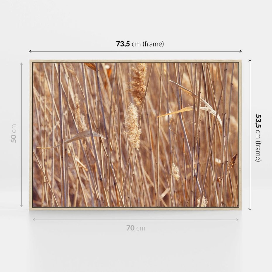 Obraz w ramie 70x50 - Mistrzowskie suche trawy - suche, trawy - rama drewno