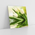 Obraz na płótnie 30x30 - Białe Piękno - białe, tulipany