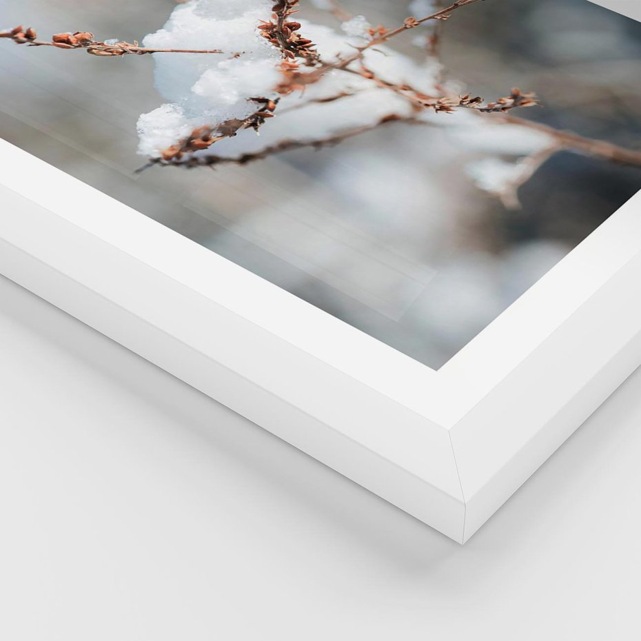 Plakat w ramie 50x70 - Zimowy Urok Natury - gałązki pod śniegiem, natura - rama biała