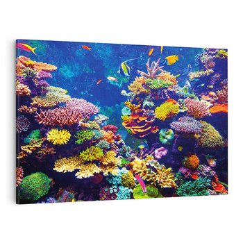 Obraz na płótnie 100x70 - Podwodne Zaczarowanie - kolorowa rafa koralowa, ukwiały