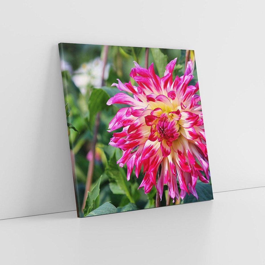 Obraz na płótnie 30x30 - Kwiatowe impresje natury - kwiat, kwiaty