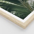 Plakat w ramie 30x40 - Tropikalne Uroki: Palmy i Zielone Liście - palmy, zielone liście - rama drewno