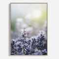 Obraz w ramie 70x100 - Delikatna Uroda Natury - wrzosy, fiolet - rama drewno