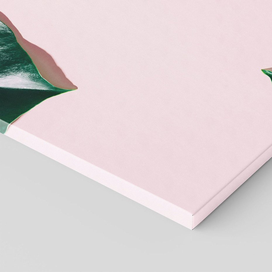 Obraz na płótnie 40x40 - Siła Natury - liście, monstera