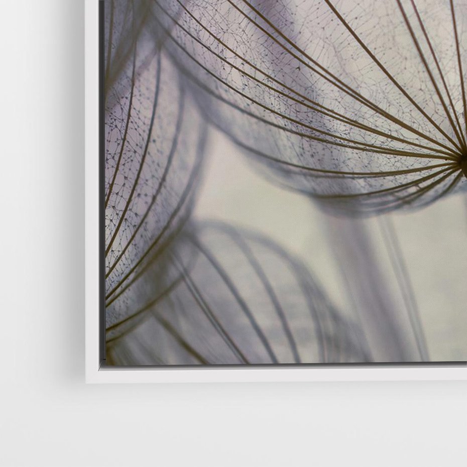 Obraz w ramie 100x70 - Makro dmuchawiec - piękno drobnych detali - dmuchawce, makro - rama biała