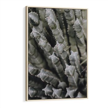Obraz w ramie 80x120 - Boho kaktusy na pustyni - kaktusy, pustynia - rama drewno