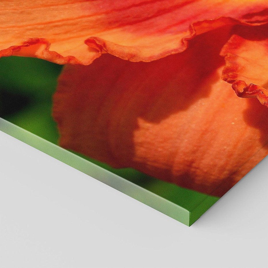 Obraz na płótnie 120x60 - Kwiatowa harmonia natury - kwiat, kwiaty