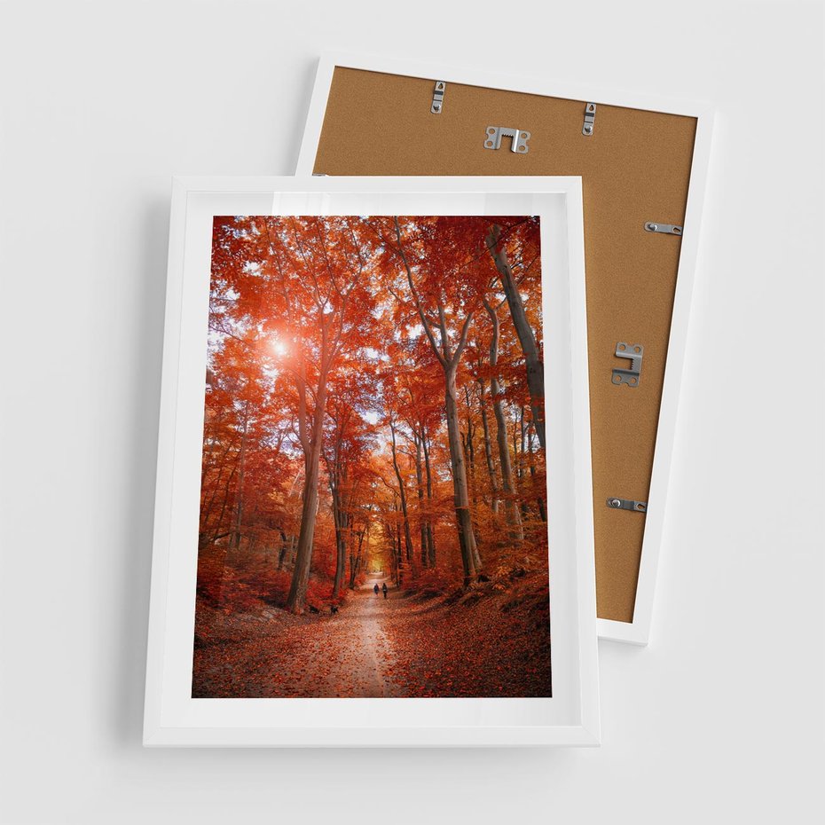 Plakat w ramie 50x70 - Magia jesiennego lasu - las, jesień - rama biała