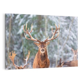 Obraz na płótnie 100x70 - Monarcha Zimowej Dziczy - jeleń, zima