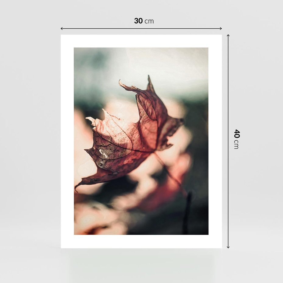 Plakat bez ramy 30x40 - Liść w Jesieni - jesienny liść, czerwony