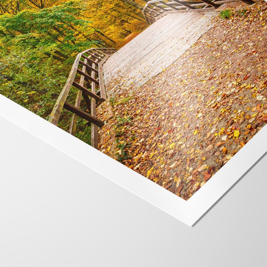 Plakat bez ramy 21x30 - Spacer Ścieżką w Las - ścieżka, spacer