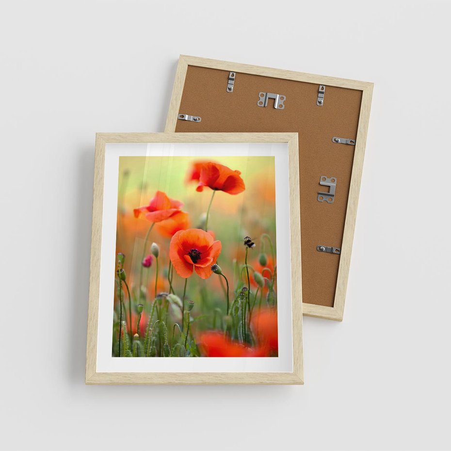 Plakat w ramie 40x50 - Makowa Pasja - maki, kwiaty - rama drewno