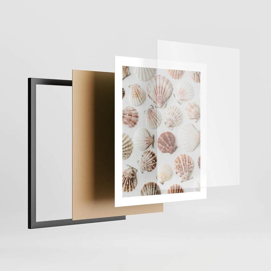 Plakat w ramie 40x50 - Morska Delikatność: Muszelki na Białym Tle - kompozycja, morskie muszelki na białym tle - rama czarna