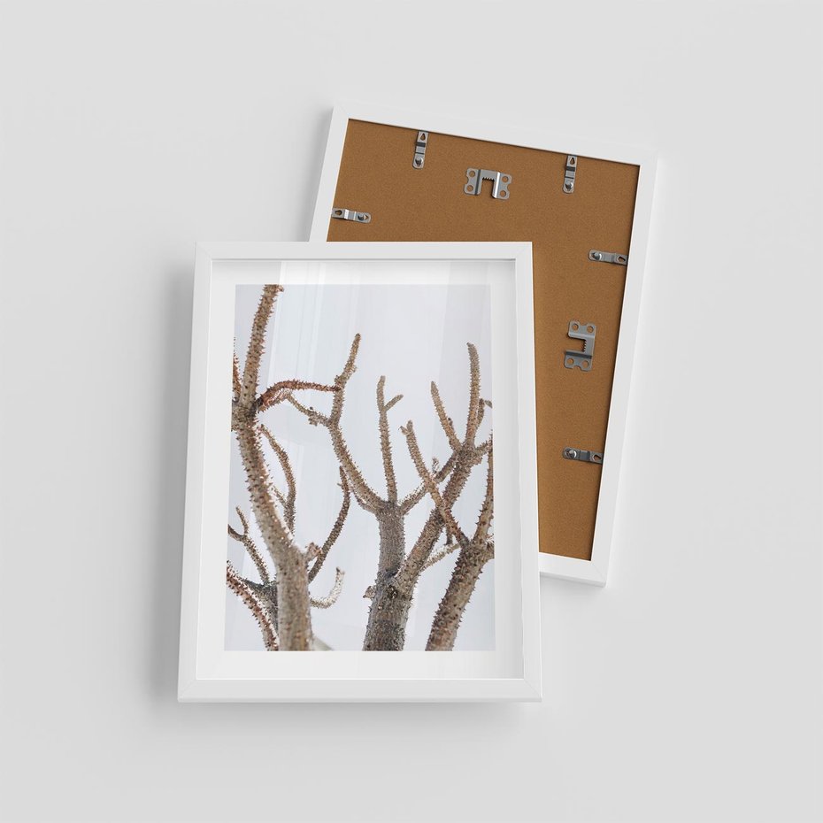 Plakat w ramie 30x40 - Pustynna Harmonia Gałęzi - pustynna roślina, suche gałęzie - rama biała