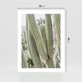 Plakat bez ramy 30x40 - Duże Kaktusy w Pejzażu - kaktus, duże kaktusy na pustyni