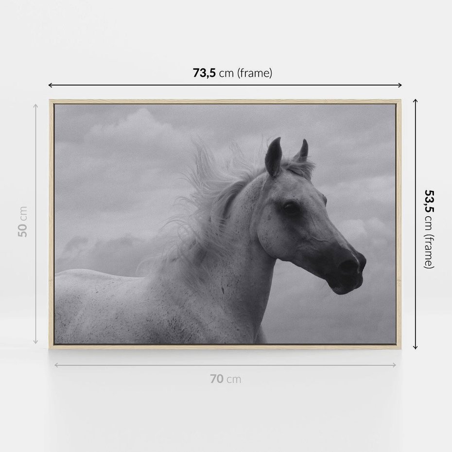 Obraz w ramie 70x50 - Moc i Wolność - czarno biała fotografia, biały - rama drewno