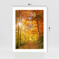 Plakat bez ramy 30x40 - Złote barwy jesiennego lasu - las, jesień