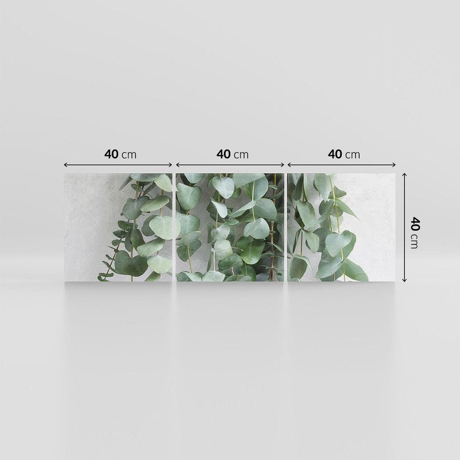 Obraz na płótnie 120x40 - Uwodzicielska zieleń eukaliptusa - eukaliptus, zielone