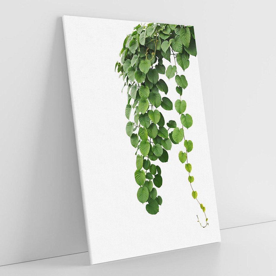 Obraz na płótnie 80x120 - Świeżość Natury - liście, zielone