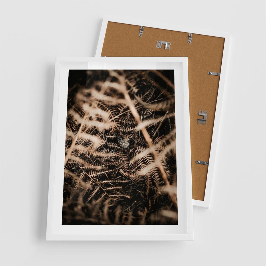 Plakat w ramie 50x70 - Liście i Paprocie - suche liście, paprocie - rama biała