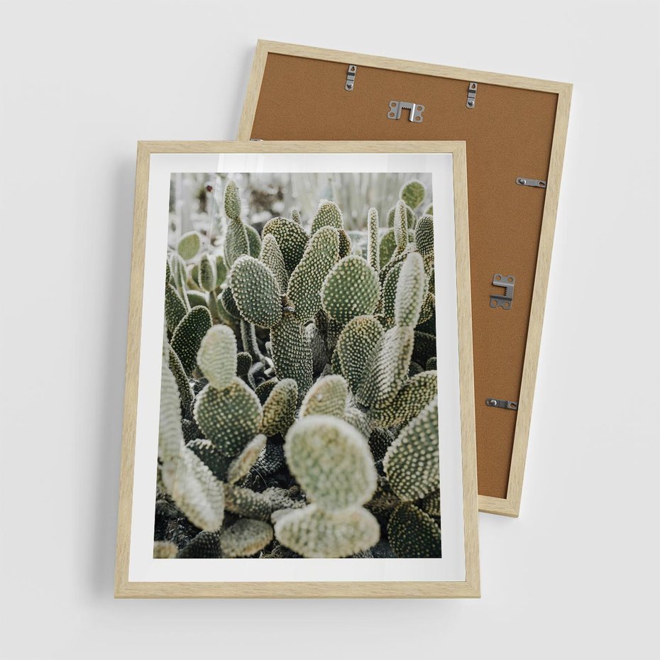 Plakat w ramie 50x70 - Kaktusowa Harmonia - kaktusy, fotografia - rama drewno