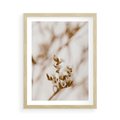 Plakat w ramie 50x70 - Kwiatowa suchość - kwiaty, susz - rama drewno