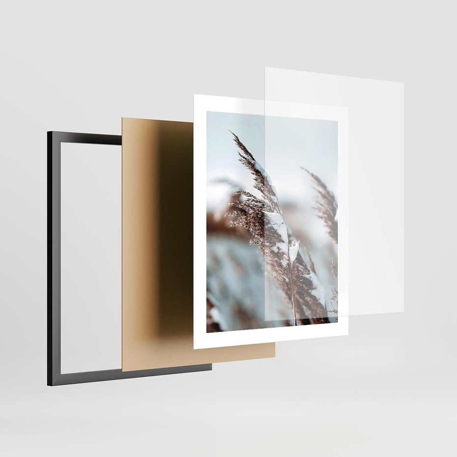 Plakat w ramie 40x50 - Zima na Suchych Trawach - suche trawy, śnieg wysokich na trawach - rama czarna
