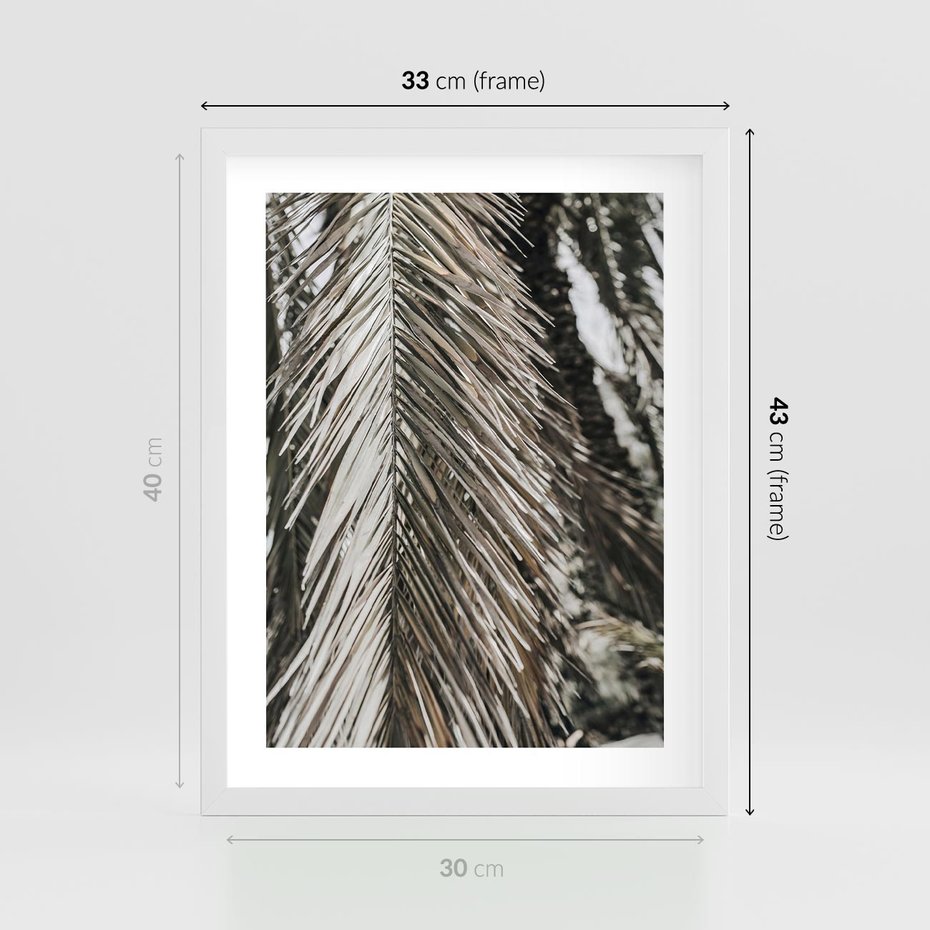 Plakat w ramie 30x40 - Egzotyczne Gałęzie - suche gałęzie, liście palmy - rama biała