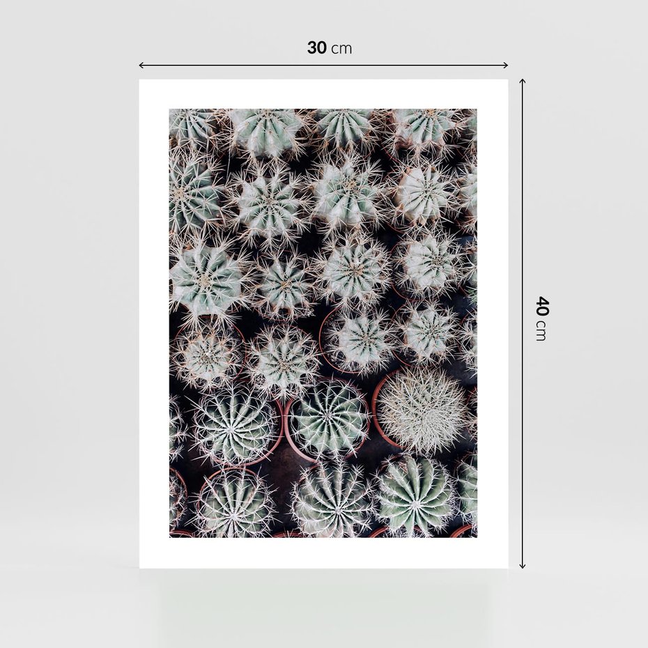 Plakat bez ramy 30x40 - Wzór Kaktusów - kaktusy w doniczkach, ujęcie z góry