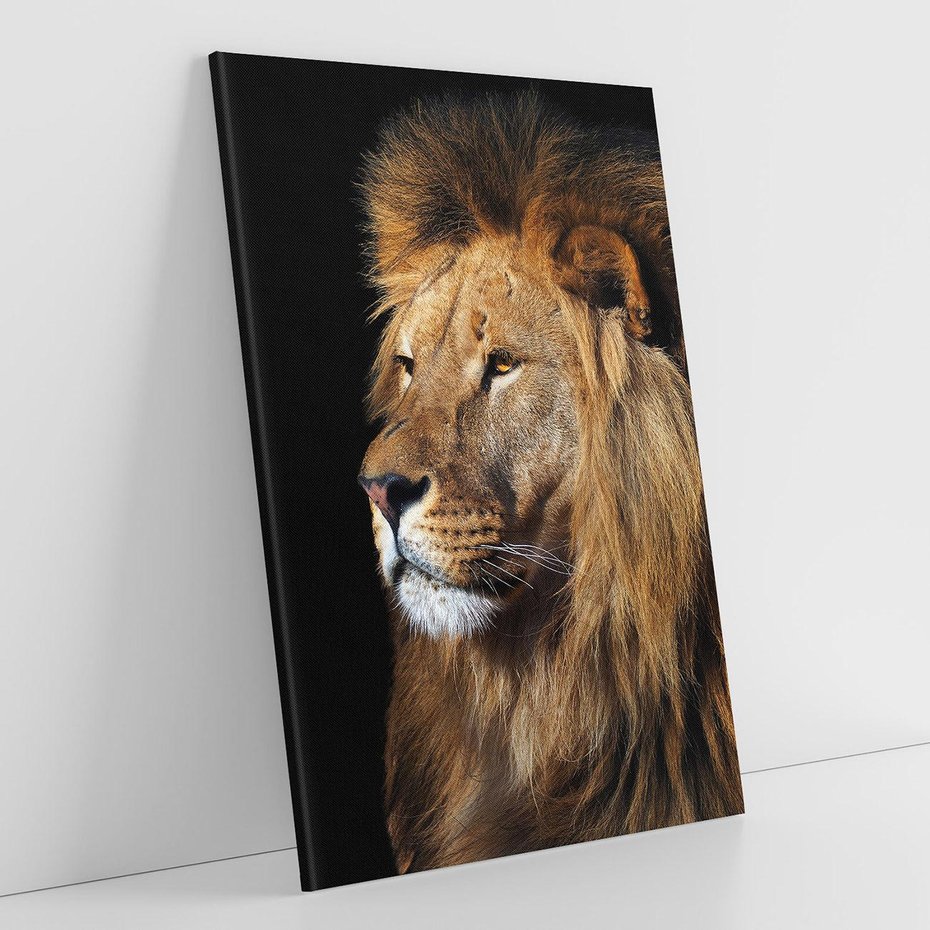Obraz na płótnie 70x100 - Władca Dzikiej Przyrody - lew, król