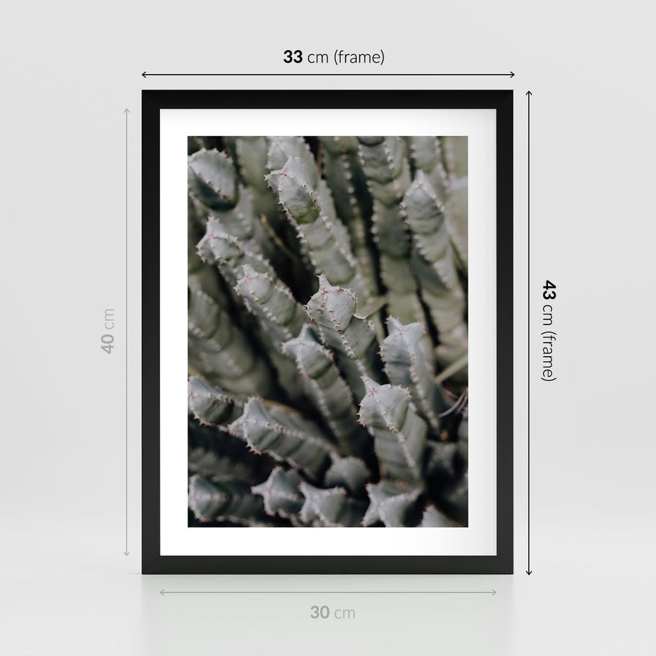 Plakat w ramie 30x40 - Boho kaktusy na pustyni - kaktusy, pustynia - rama czarna