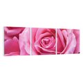Obraz na płótnie 150x50 - Róża Wspaniałości - róża, kwiat