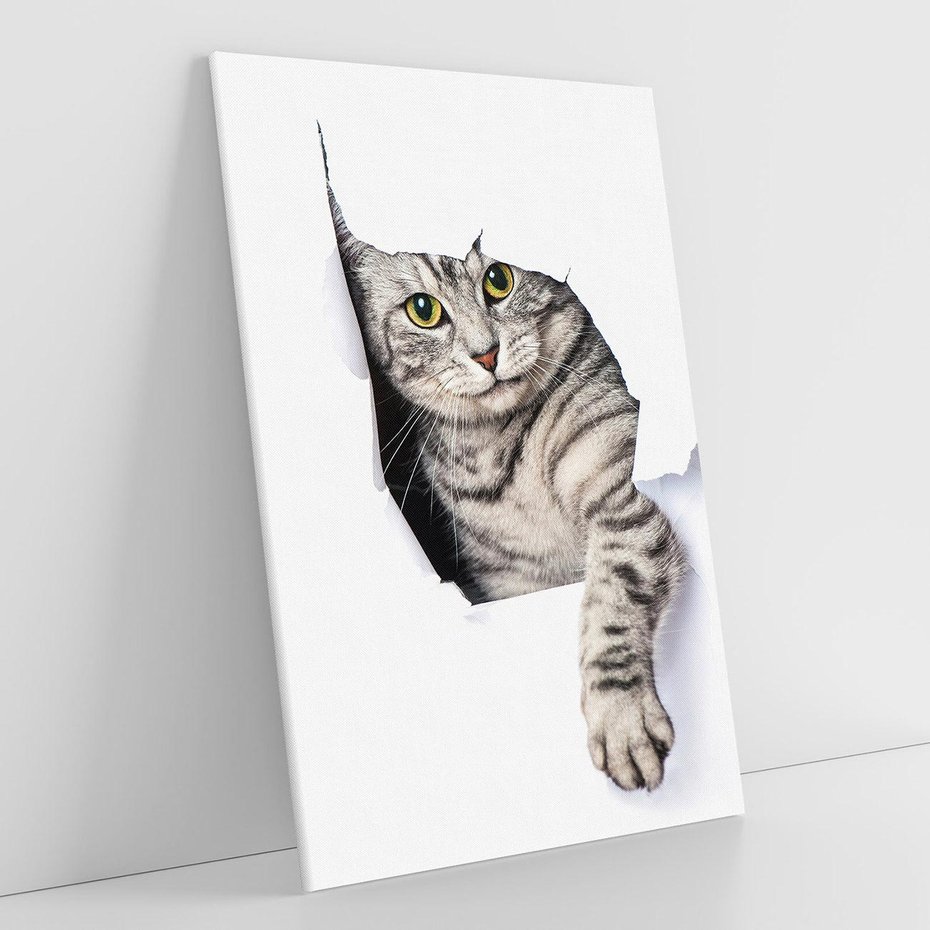 Obraz na płótnie 70x100 - Tajemniczy kot i jego świat - kot, dziura