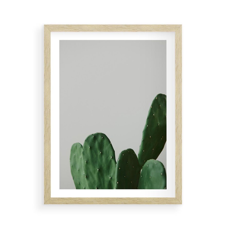 Plakat w ramie 50x70 - Majestatyczne Wysokości - kaktusy, liście - rama drewno