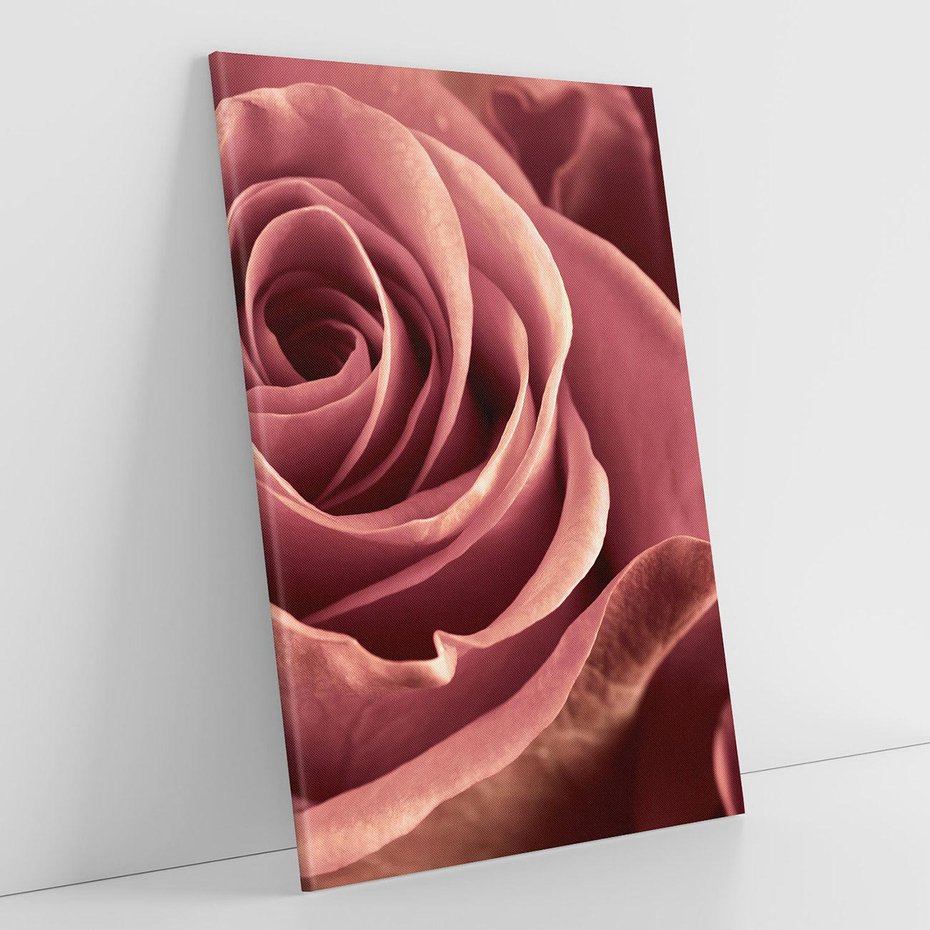 Obraz na płótnie 70x100 - Romantyczna Róż - róża, kwiat