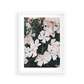 Plakat w ramie 40x50 - Egzotyczna Uroda - białe kwiaty, tropikalne kwiaty - rama biała